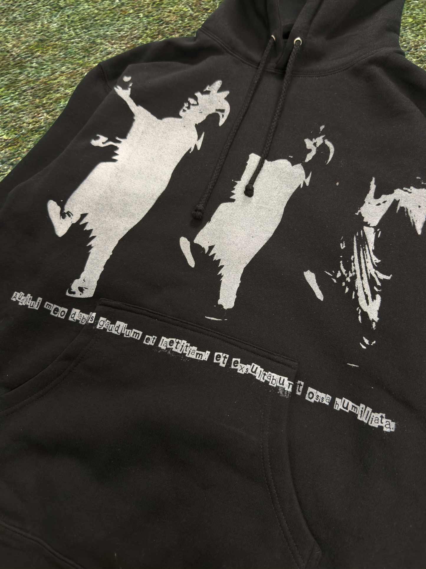 "Jester the Great" Hoodie